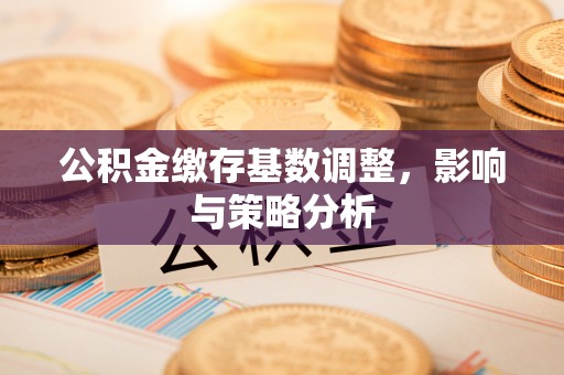 蕉城公积金缴存基数调整，影响与策略分析