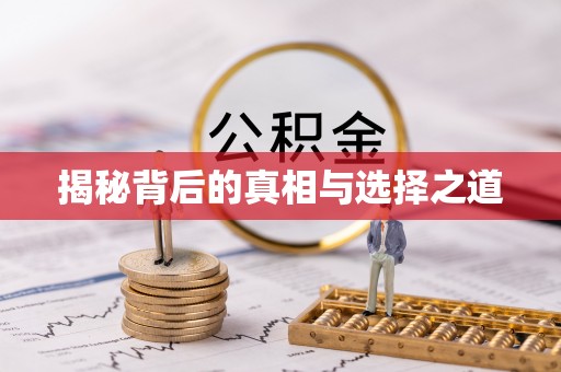 蕉城揭秘背后的真相与选择之道