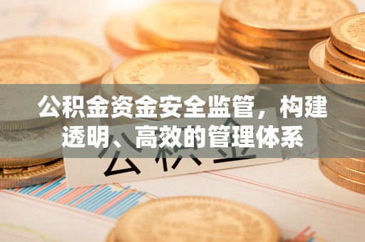 蕉城公积金资金安全监管，构建透明、高效的管理体系