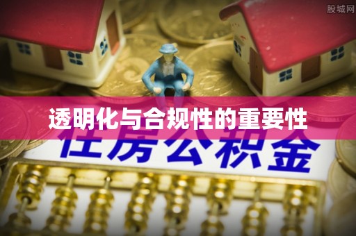 蕉城透明化与合规性的重要性