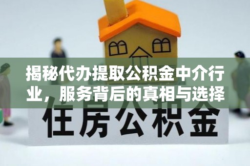 蕉城揭秘代办提取公积金中介行业，服务背后的真相与选择指南