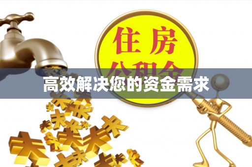 蕉城高效解决您的资金需求