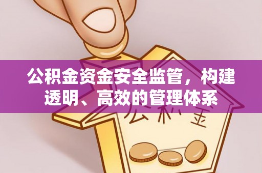 蕉城公积金资金安全监管，构建透明、高效的管理体系