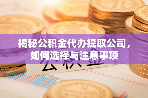 蕉城揭秘公积金代办提取公司，如何选择与注意事项